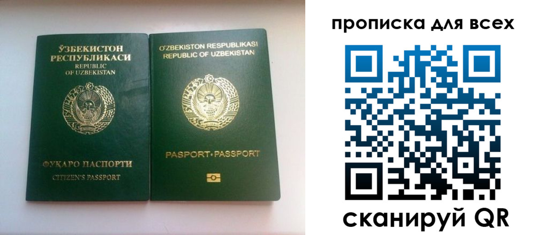 прописка для школы в Борисоглебске